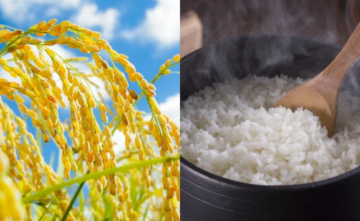 お米のこだわり