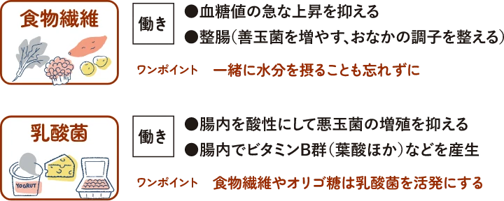食物繊維・乳酸菌の働き