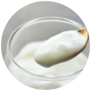 発酵乳（ヨーグルト）