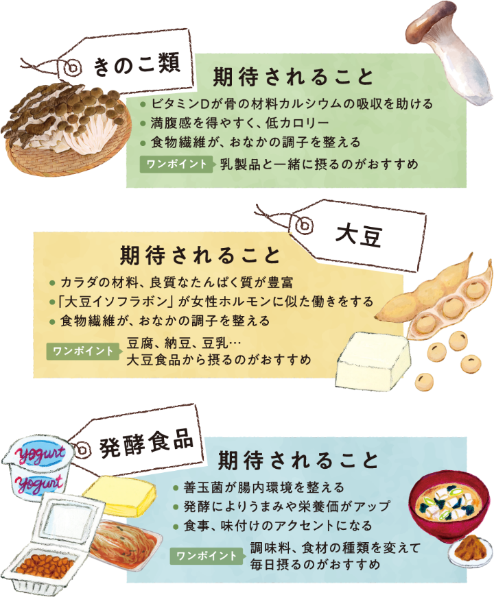 きのこ類　大豆　発酵食品