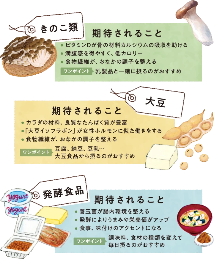 きのこ類　大豆　発酵食品