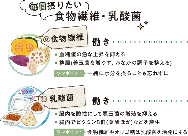 毎日摂りたい　食物繊維・乳酸菌