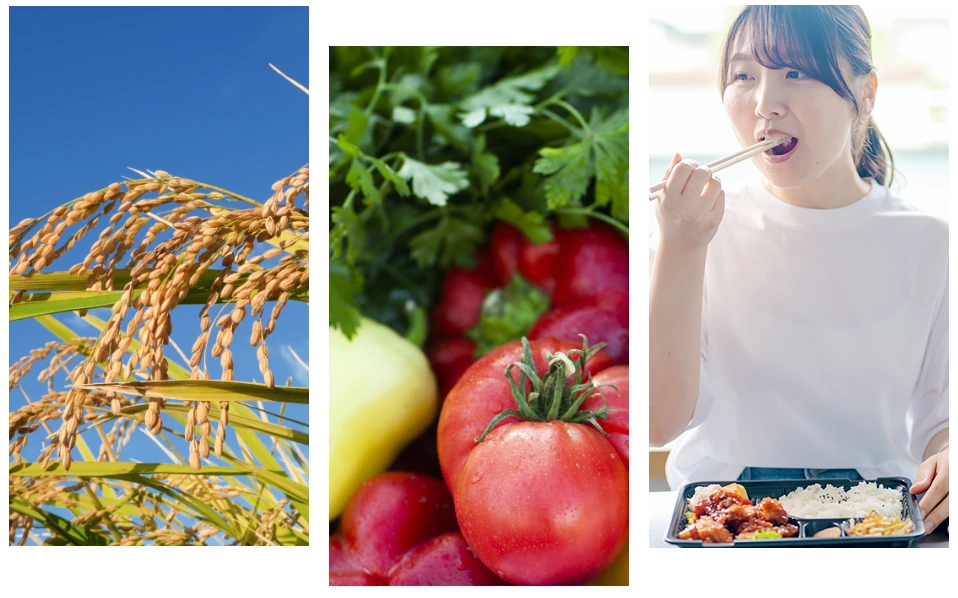 開発から配達まで徹底管理