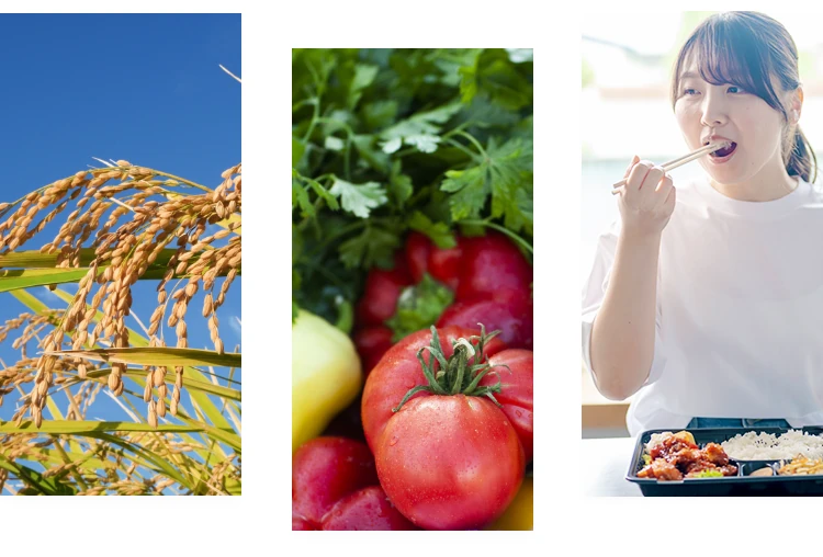 開発から配達まで徹底管理